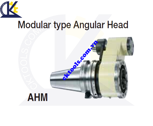 Đầu kẹp dao NIKKEN NBT-AHM, Holder NIKKEN NBT-AHM, MODULAR TYPE ANGULAR HEAD NBT-AHM